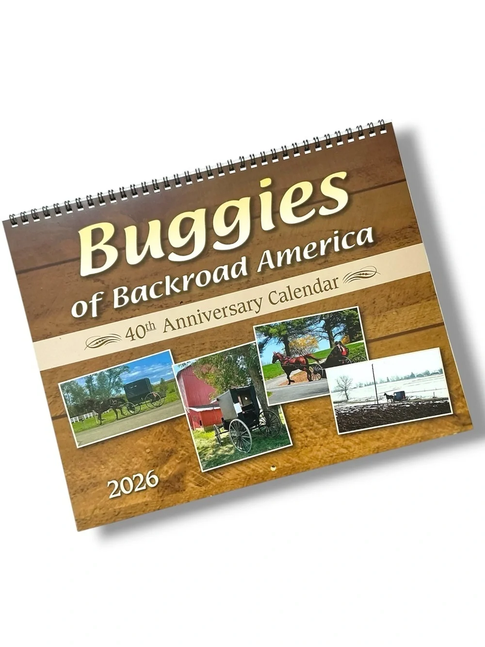 Amish Buggies of Backroad America 2026 Wall Calendar Scenic Pennsylvania NEW